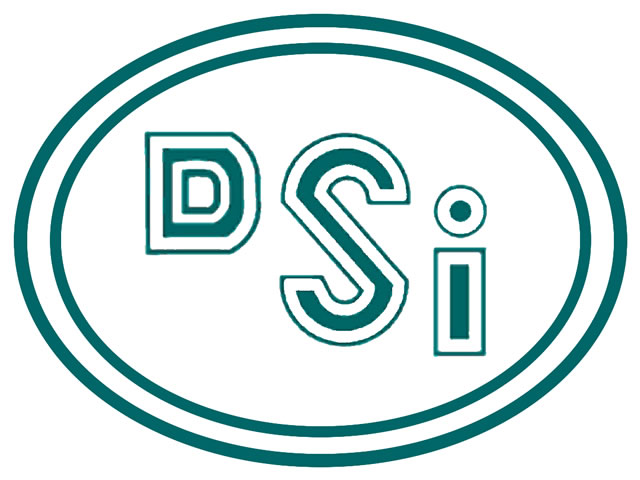 dsi_logo